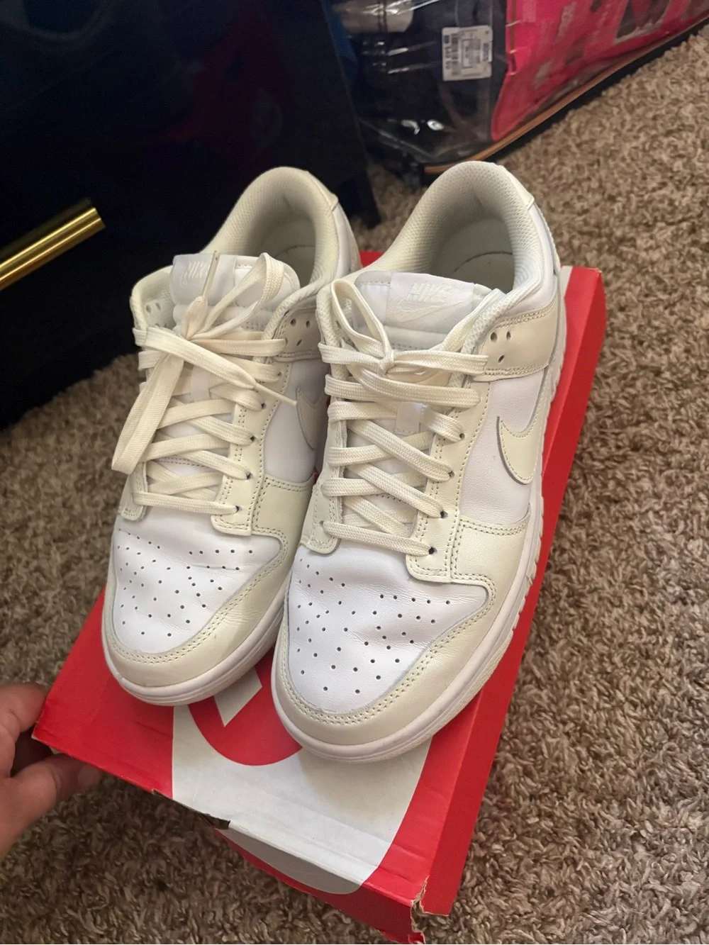 Nike low top